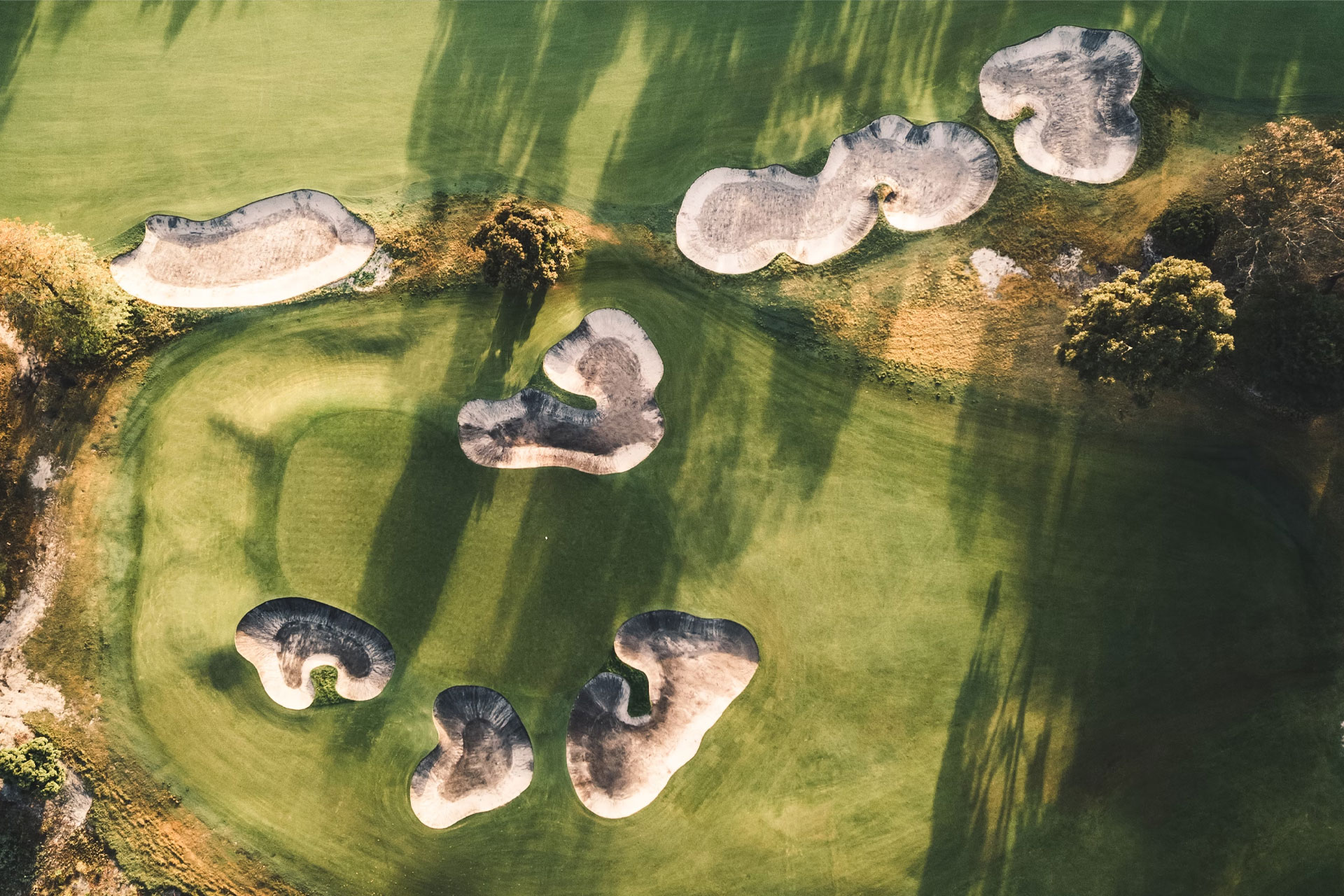 A golf course from above