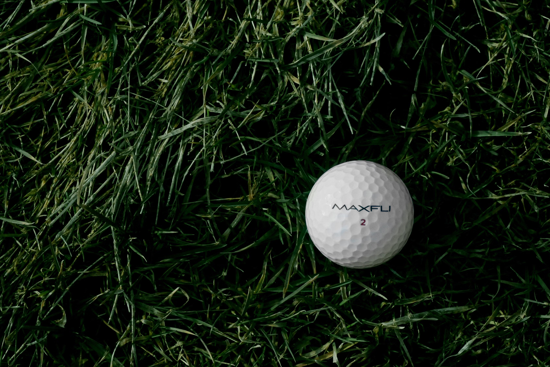 A golf ball sat in long grass