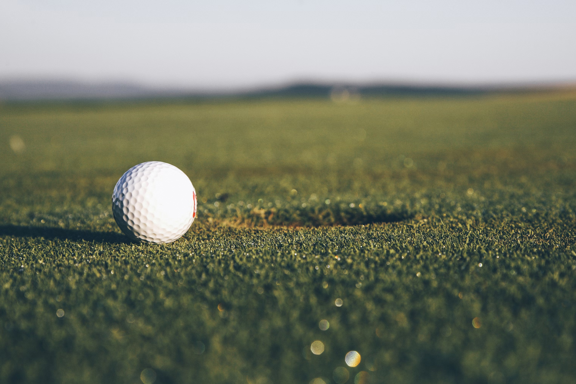 A golf ball sat next to the hole